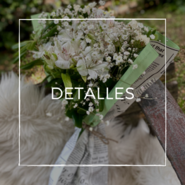 Detalles