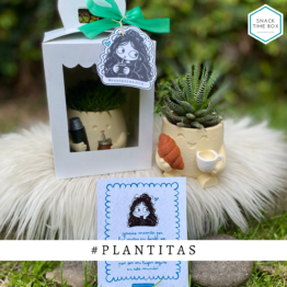 Plantitas | Suculenta Matera & Cafecito
